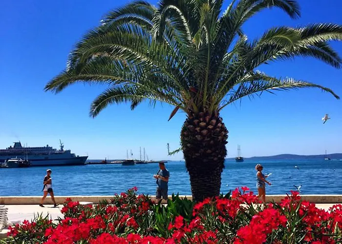 Apartment Happy Day Split